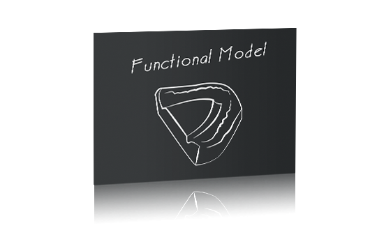 Functional Model